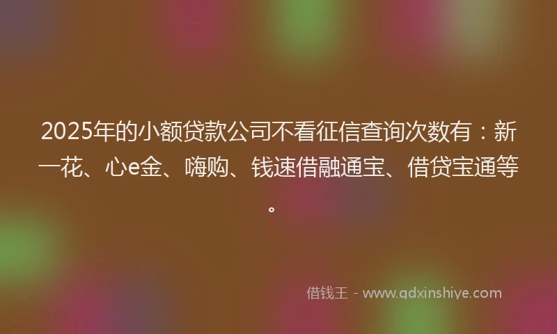 2025年的小额贷款公司不看征信查询次数有：新一花、心e金、嗨购、钱速借融通宝、借贷宝通等。