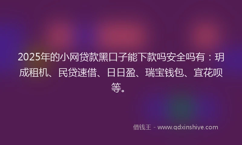 2025年的小网贷款黑口子能下款吗安全吗有：玥成租机、民贷速借、日日盈、瑞宝钱包、宜花呗等。