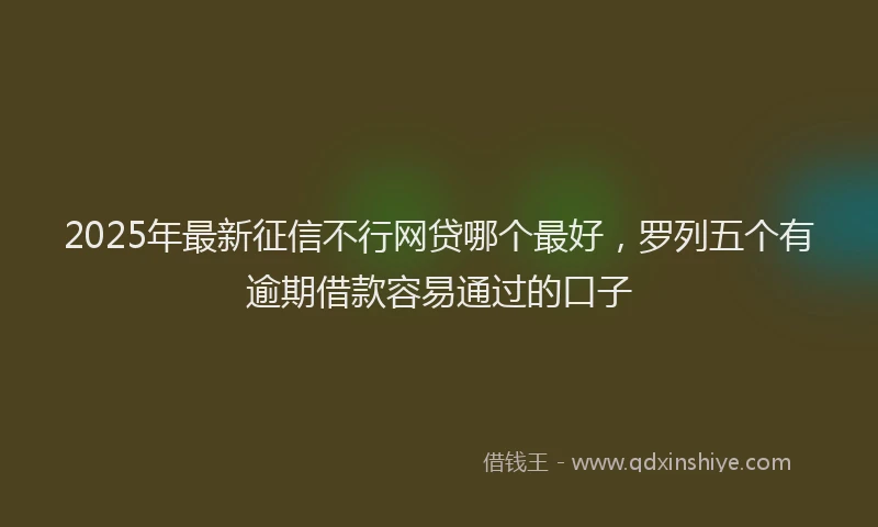 2025年最新征信不行网贷哪个最好，罗列五个有逾期借款容易通过的口子