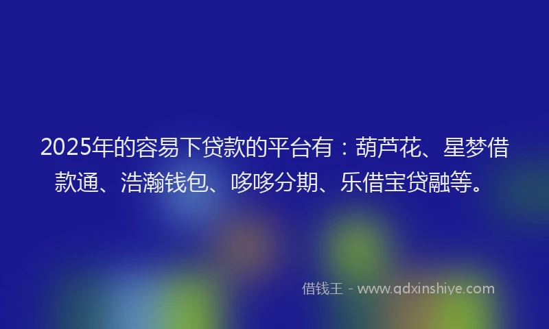 2025年的容易下贷款的平台有：葫芦花、星梦借款通、浩瀚钱包、哆哆分期、乐借宝贷融等。