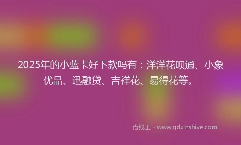 2025年的小蓝卡好下款吗有：洋洋花呗通、小象优品、迅融贷、吉祥花、易得花等。