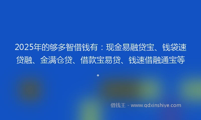 2025年的够多智借钱有：现金易融贷宝、钱袋速贷融、金满仓贷、借款宝易贷、钱速借融通宝等。