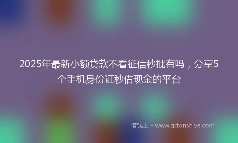 2025年最新小额贷款不看征信秒批有吗，分享5个手机身份证秒借现金的平台