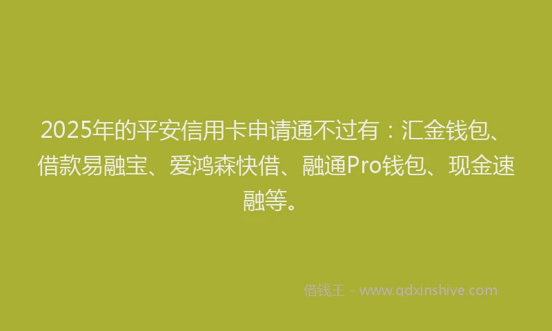 2025年的平安信用卡申请通不过有：汇金钱包、借款易融宝、爱鸿森快借、融通Pro钱包、现金速融等。