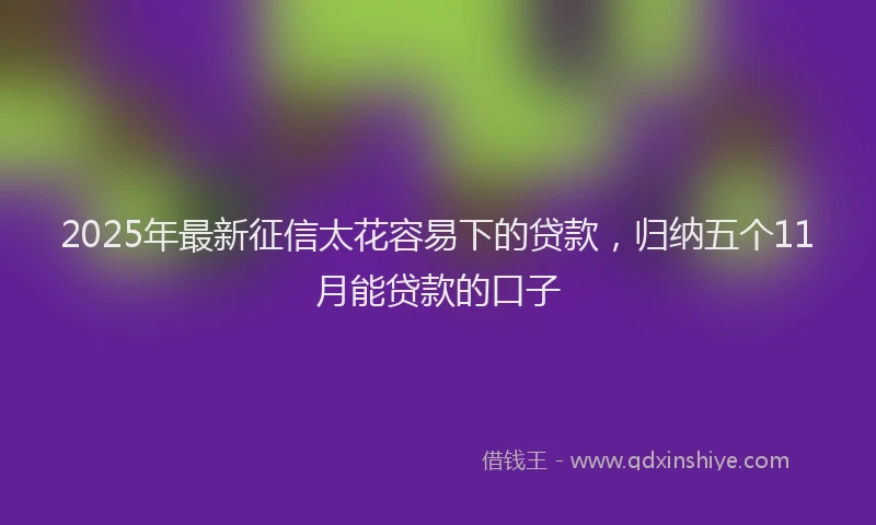 2025年最新征信太花容易下的贷款，归纳五个11月能贷款的口子
