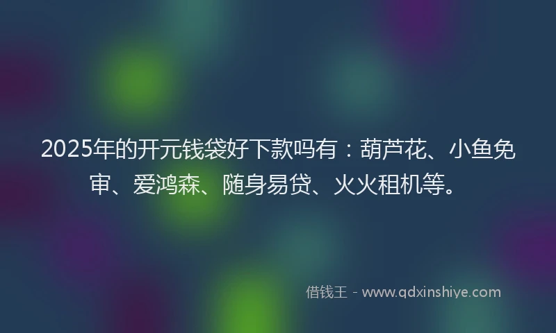 2025年的开元钱袋好下款吗有：葫芦花、小鱼免审、爱鸿森、随身易贷、火火租机等。