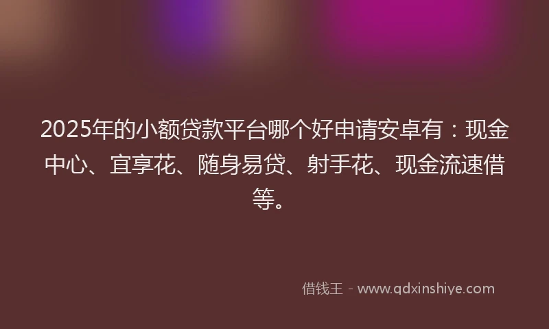 2025年的小额贷款平台哪个好申请安卓有：现金中心、宜享花、随身易贷、射手花、现金流速借等。