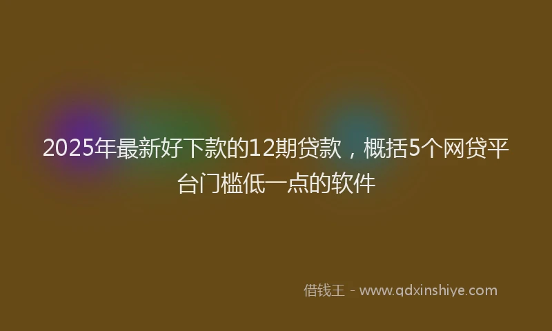 2025年最新好下款的12期贷款，概括5个网贷平台门槛低一点的软件