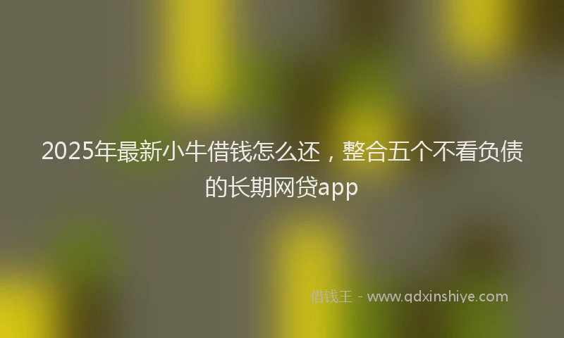 2025年最新小牛借钱怎么还，整合五个不看负债的长期网贷app