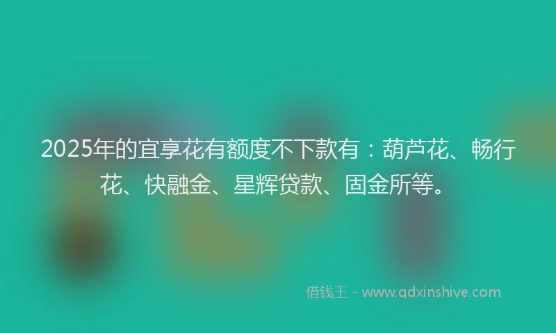 2025年的宜享花有额度不下款有：葫芦花、畅行花、快融金、星辉贷款、固金所等。