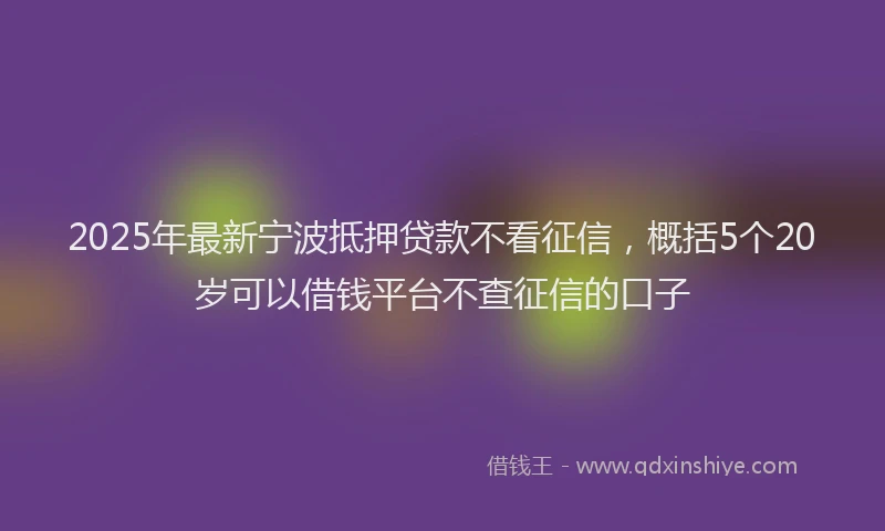 2025年最新宁波抵押贷款不看征信，概括5个20岁可以借钱平台不查征信的口子