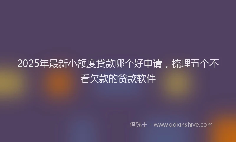 2025年最新小额度贷款哪个好申请，梳理五个不看欠款的贷款软件