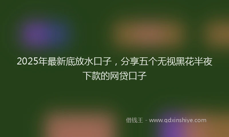 2025年最新底放水口子，分享五个无视黑花半夜下款的网贷口子