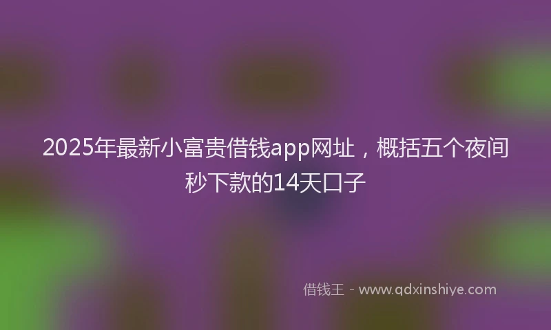2025年最新小富贵借钱app网址，概括五个夜间秒下款的14天口子