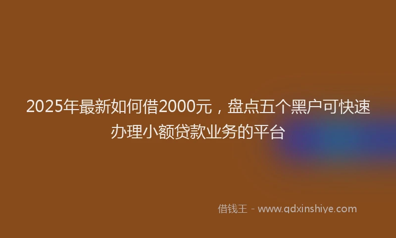 2025年最新如何借2000元，盘点五个黑户可快速办理小额贷款业务的平台