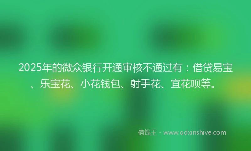 2025年的微众银行开通审核不通过有：借贷易宝、乐宝花、小花钱包、射手花、宜花呗等。