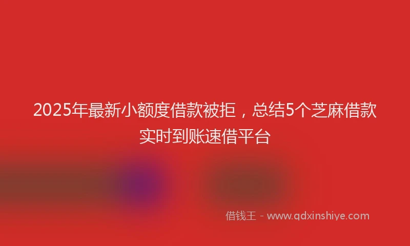 2025年最新小额度借款被拒，总结5个芝麻借款实时到账速借平台