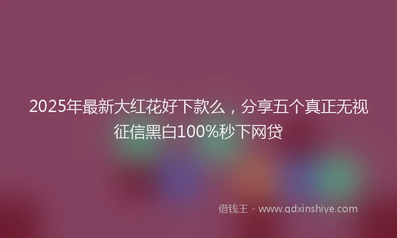 2025年最新大红花好下款么，分享五个真正无视征信黑白100%秒下网贷