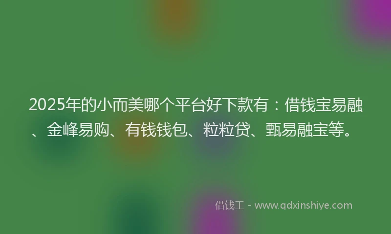 2025年的小而美哪个平台好下款有：借钱宝易融、金峰易购、有钱钱包、粒粒贷、甄易融宝等。