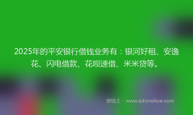 2025年的平安银行借钱业务有：银河好租、安逸花、闪电借款、花呗速借、米米贷等。