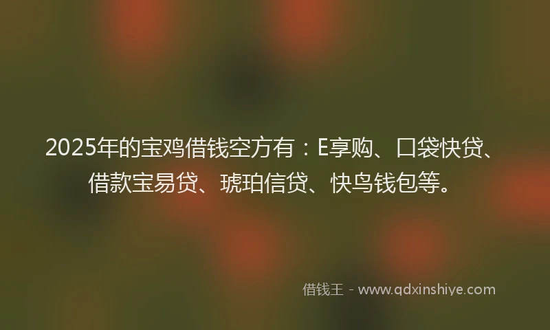 2025年的宝鸡借钱空方有：E享购、口袋快贷、借款宝易贷、琥珀信贷、快鸟钱包等。
