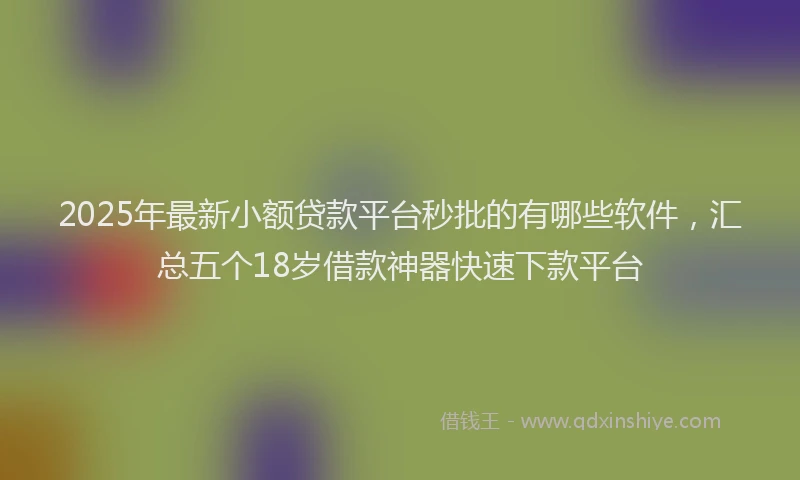 2025年最新小额贷款平台秒批的有哪些软件，汇总五个18岁借款神器快速下款平台