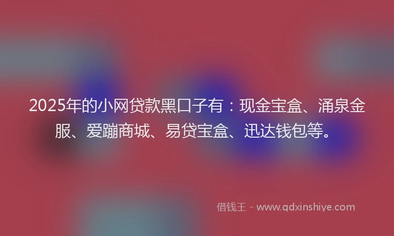 2025年的小网贷款黑口子有：现金宝盒、涌泉金服、爱蹦商城、易贷宝盒、迅达钱包等。