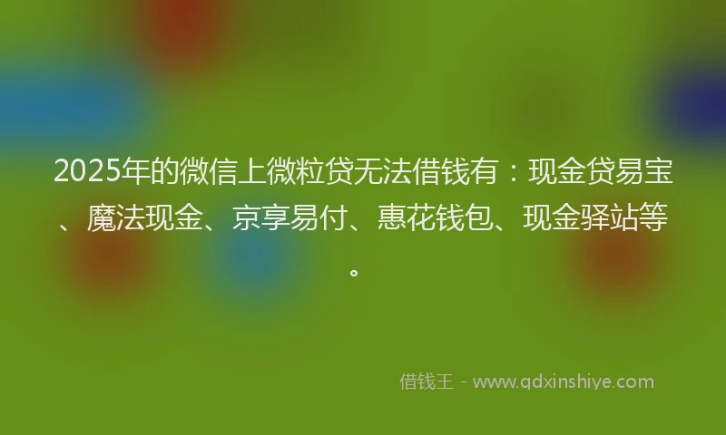 2025年的微信上微粒贷无法借钱有：现金贷易宝、魔法现金、京享易付、惠花钱包、现金驿站等。