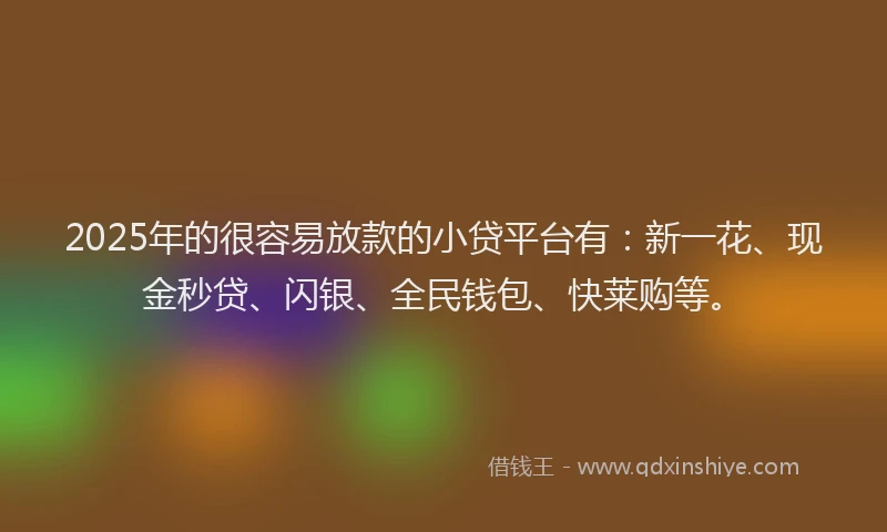 2025年的很容易放款的小贷平台有：新一花、现金秒贷、闪银、全民钱包、快莱购等。