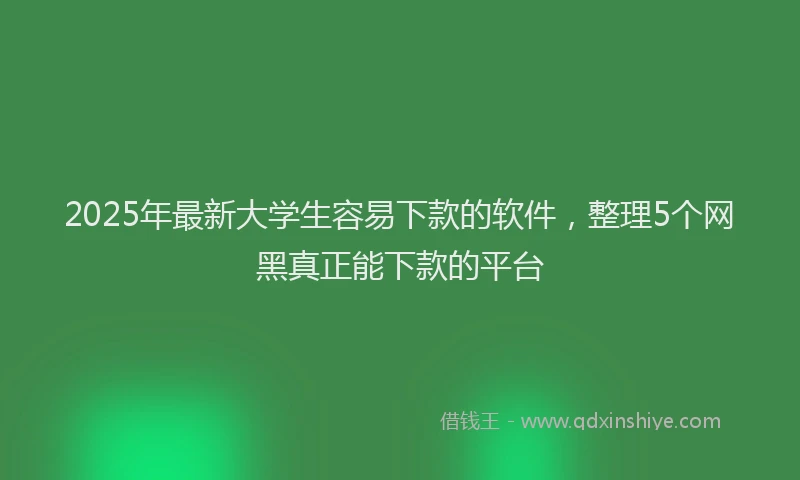 2025年最新大学生容易下款的软件，整理5个网黑真正能下款的平台