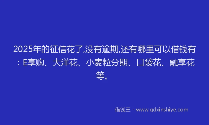 2025年的征信花了,没有逾期,还有哪里可以借钱有：E享购、大洋花、小麦粒分期、口袋花、融享花等。