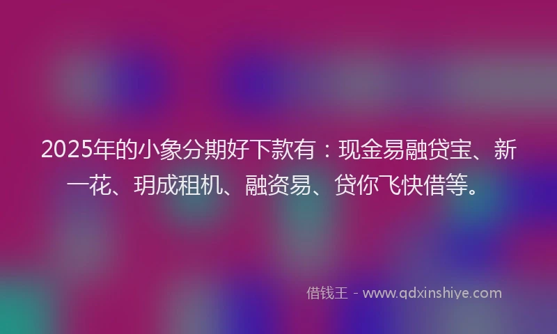 2025年的小象分期好下款有：现金易融贷宝、新一花、玥成租机、融资易、贷你飞快借等。