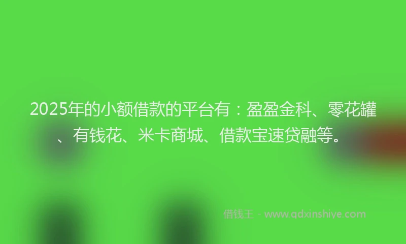 2025年的小额借款的平台有：盈盈金科、零花罐、有钱花、米卡商城、借款宝速贷融等。