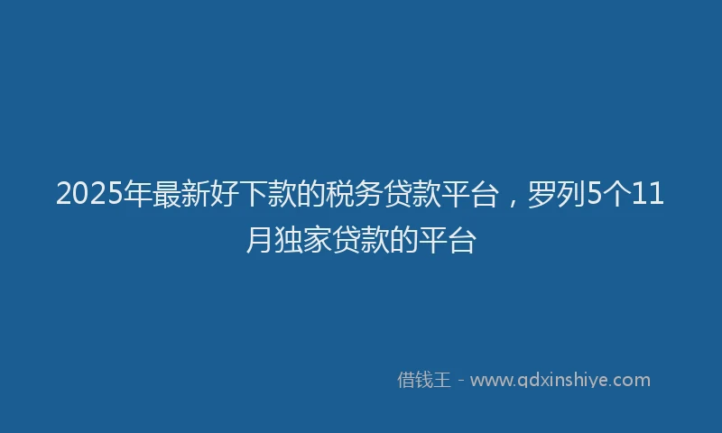 2025年最新好下款的税务贷款平台，罗列5个11月独家贷款的平台