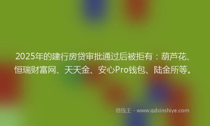 2025年的建行房贷审批通过后被拒有：葫芦花、恒瑞财富网、天天金、安心Pro钱包、陆金所等。