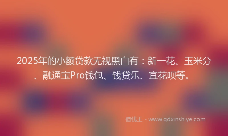 2025年的小额贷款无视黑白有：新一花、玉米分、融通宝Pro钱包、钱贷乐、宜花呗等。