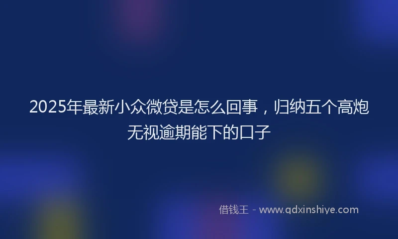 2025年最新小众微贷是怎么回事，归纳五个高炮无视逾期能下的口子