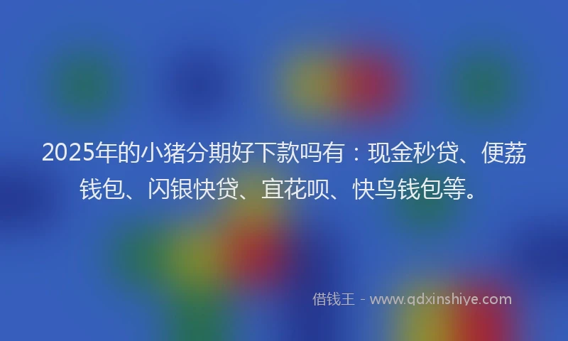 2025年的小猪分期好下款吗有：现金秒贷、便荔钱包、闪银快贷、宜花呗、快鸟钱包等。