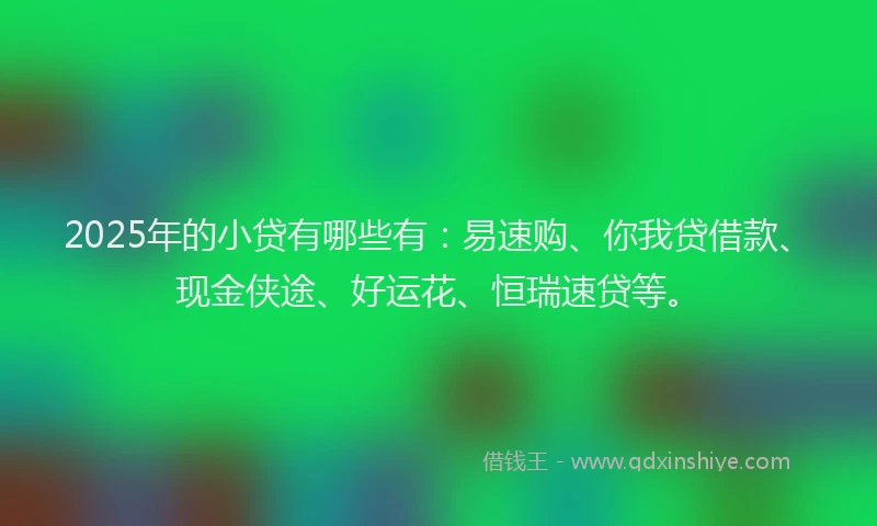 2025年的小贷有哪些有：易速购、你我贷借款、现金侠途、好运花、恒瑞速贷等。