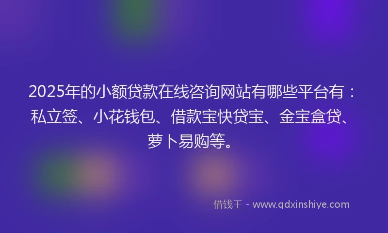 2025年的小额贷款在线咨询网站有哪些平台有：私立签、小花钱包、借款宝快贷宝、金宝盒贷、萝卜易购等。