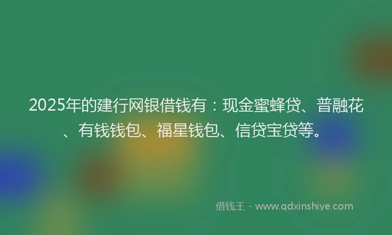 2025年的建行网银借钱有：现金蜜蜂贷、普融花、有钱钱包、福星钱包、信贷宝贷等。