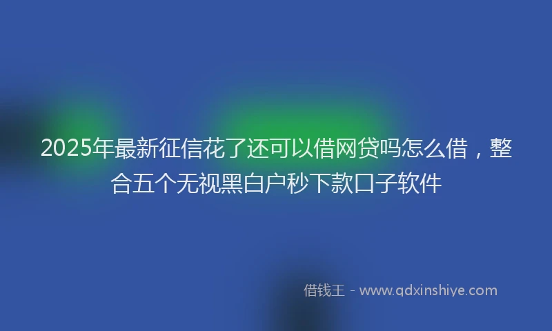 2025年最新征信花了还可以借网贷吗怎么借，整合五个无视黑白户秒下款口子软件