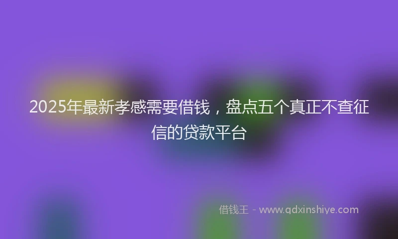 2025年最新孝感需要借钱，盘点五个真正不查征信的贷款平台