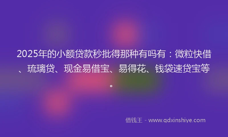 2025年的小额贷款秒批得那种有吗有：微粒快借、琉璃贷、现金易借宝、易得花、钱袋速贷宝等。