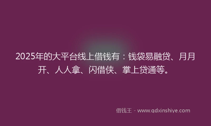 2025年的大平台线上借钱有：钱袋易融贷、月月开、人人拿、闪借侠、掌上贷通等。
