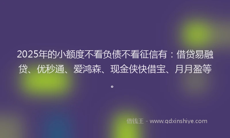 2025年的小额度不看负债不看征信有：借贷易融贷、优秒通、爱鸿森、现金侠快借宝、月月盈等。
