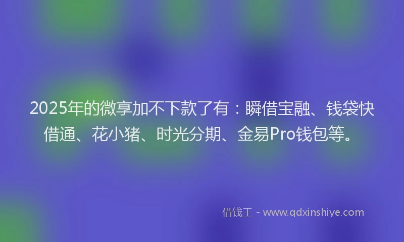 2025年的微享加不下款了有：瞬借宝融、钱袋快借通、花小猪、时光分期、金易Pro钱包等。