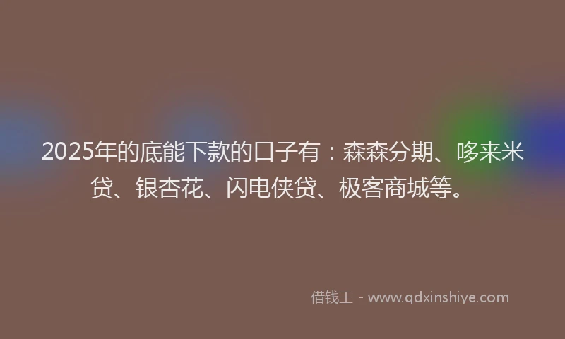 2025年的底能下款的口子有：森森分期、哆来米贷、银杏花、闪电侠贷、极客商城等。