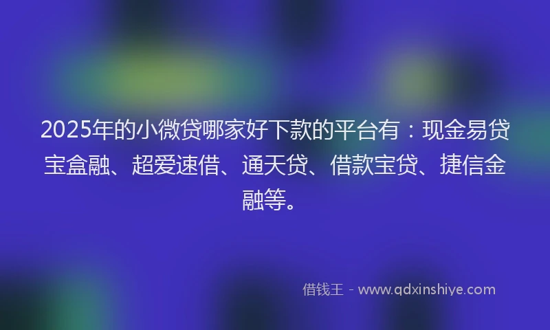 2025年的小微贷哪家好下款的平台有：现金易贷宝盒融、超爱速借、通天贷、借款宝贷、捷信金融等。