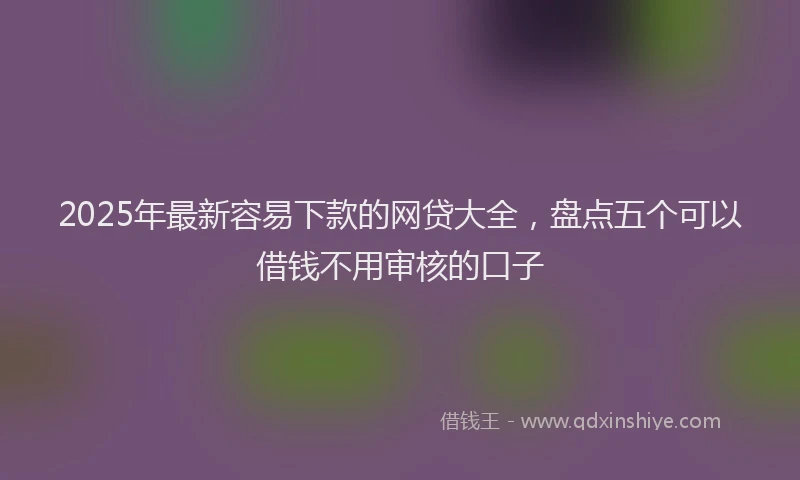 2025年最新容易下款的网贷大全，盘点五个可以借钱不用审核的口子